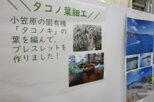 4_小笠原展示 (1).JPG